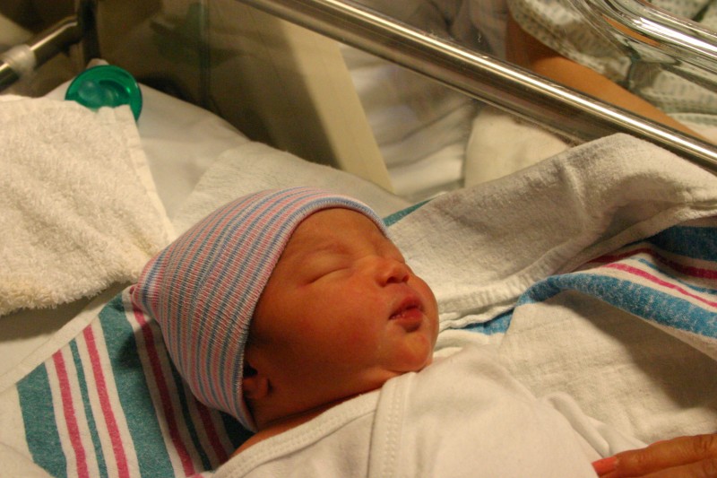 IMG_0610 [800x600].JPG